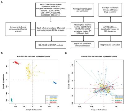 Identification of AKI signatures and classification patterns in ccRCC based on machine learning